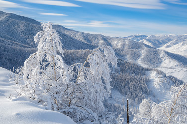 Similar image 21684970