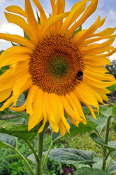 Similar image 21684011