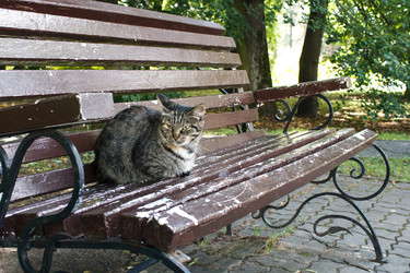 Similar image 21684021