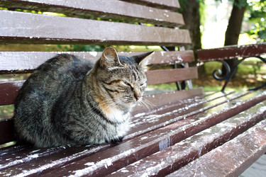 Similar image 21684022