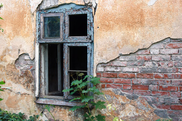 Similar image 21684029