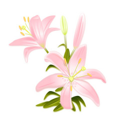 Similar image 21685306