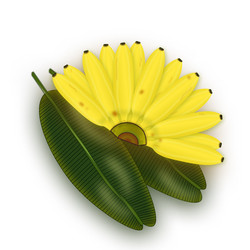 Similar image 21685309