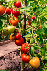 Similar image 21684513