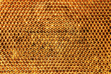 Similar image 21684515