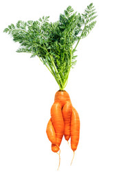 Similar image 21684519