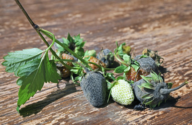 Similar image 21684520