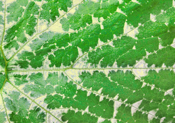 Similar image 21684521