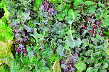 Similar image 21684522