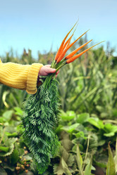 Similar image 21684523