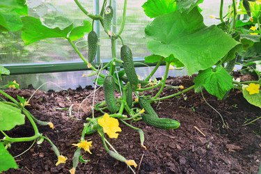 Similar image 21684524