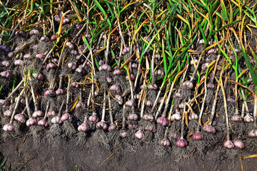 Similar image 21684526