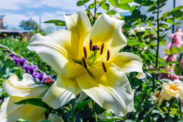 Similar image 21684528