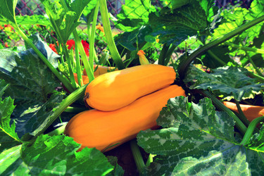 Similar image 21684529