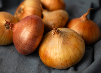 Similar image 21684803