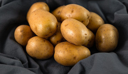 Similar image 21684807