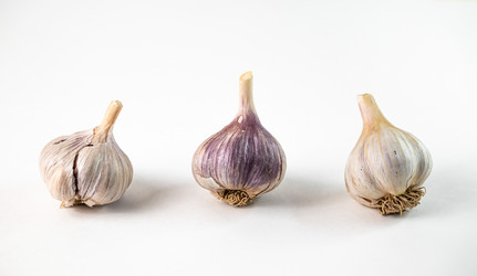 Similar image 21684809