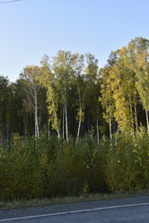 Similar image 21684397