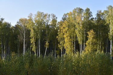 Similar image 21684398