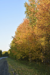 Similar image 21684399