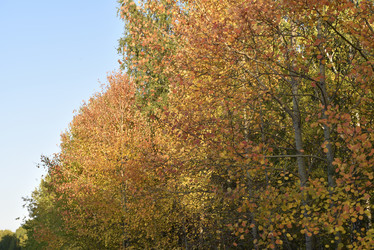 Similar image 21684400