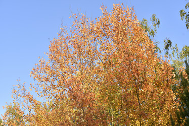 Similar image 21684401