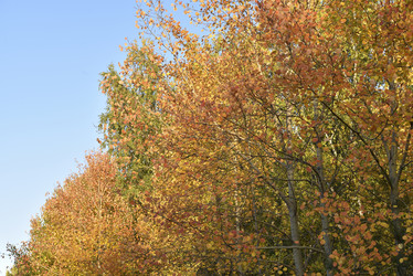 Similar image 21684402