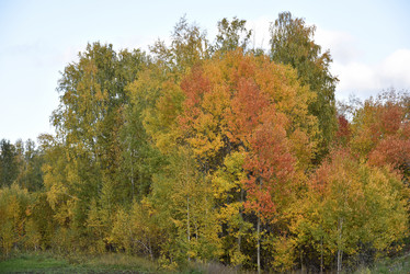 Similar image 21684403