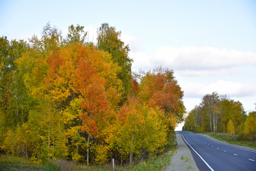 Similar image 21684404