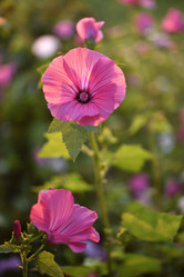 Similar image 21684812