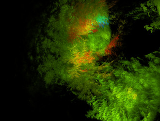 Similar image 21685406