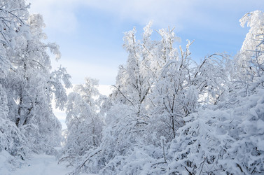 Similar image 21684971