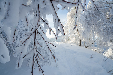 Similar image 21684972