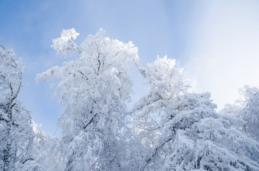 Similar image 21684973