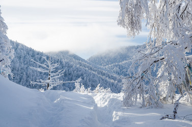 Similar image 21684974