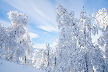 Similar image 21684975