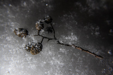 Similar image 21684813