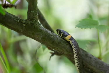 Similar image 21684978