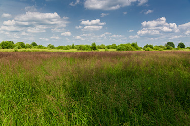 Similar image 21684868