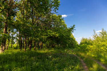 Similar image 21684870