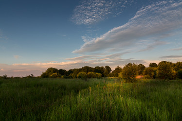 Similar image 21684872