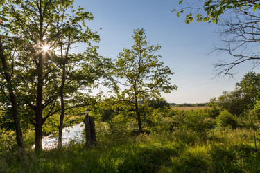 Similar image 21684873