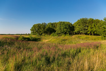 Similar image 21684874