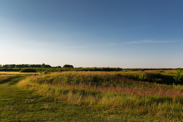 Similar image 21684875