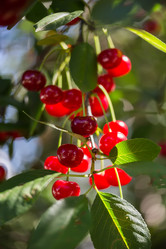 Similar image 21684877