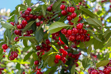 Similar image 21684878