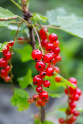 Similar image 21684879