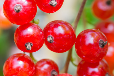 Similar image 21684880