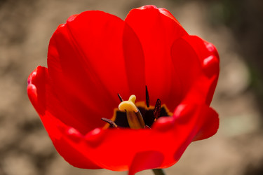 Similar image 21684881