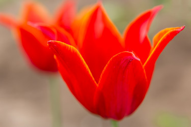 Similar image 21684882